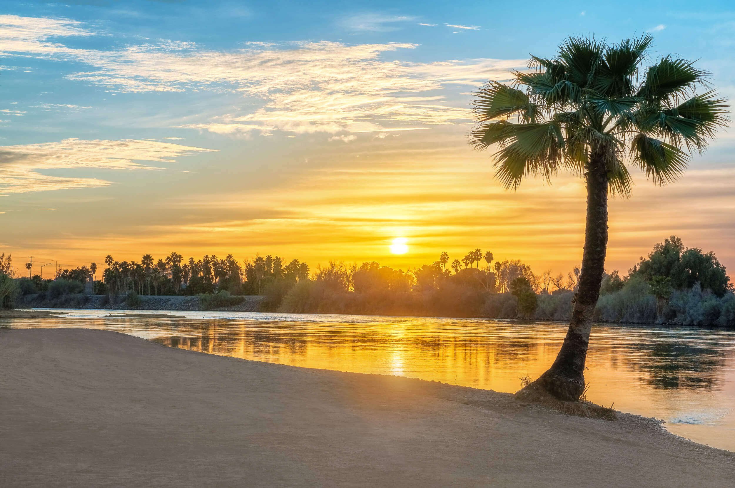 beach-palm-tree-sunset-colorado-river.jpg