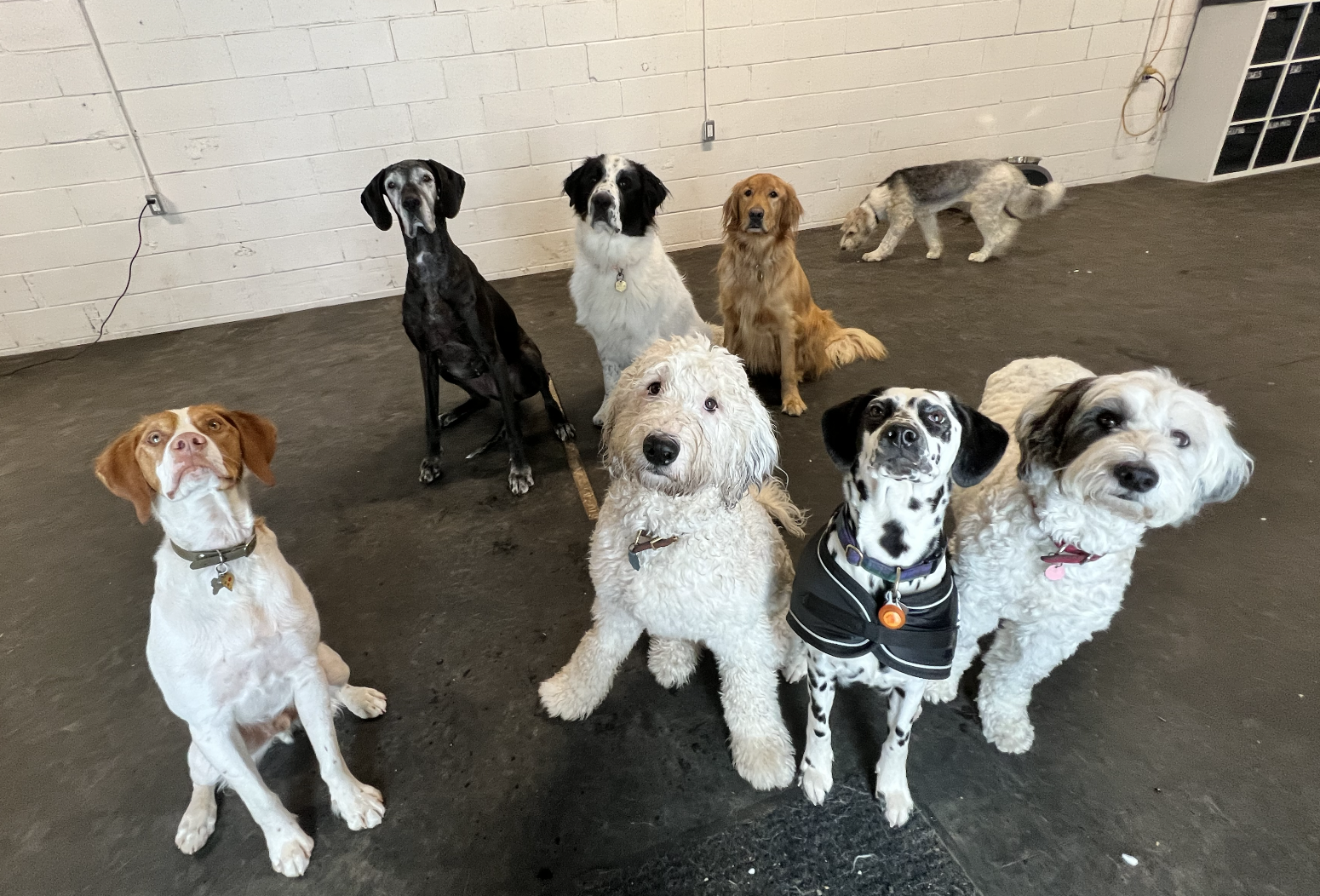 Screenshot 2025-12-03 at 2.32.08 PM.png