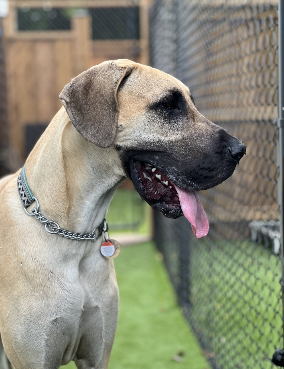 Screenshot 2025-12-03 at 2.30.35 PM.png