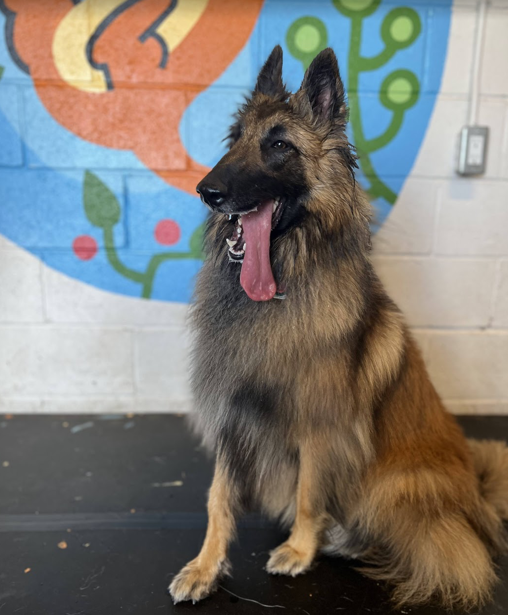 Screenshot 2025-12-03 at 2.44.14 PM.png