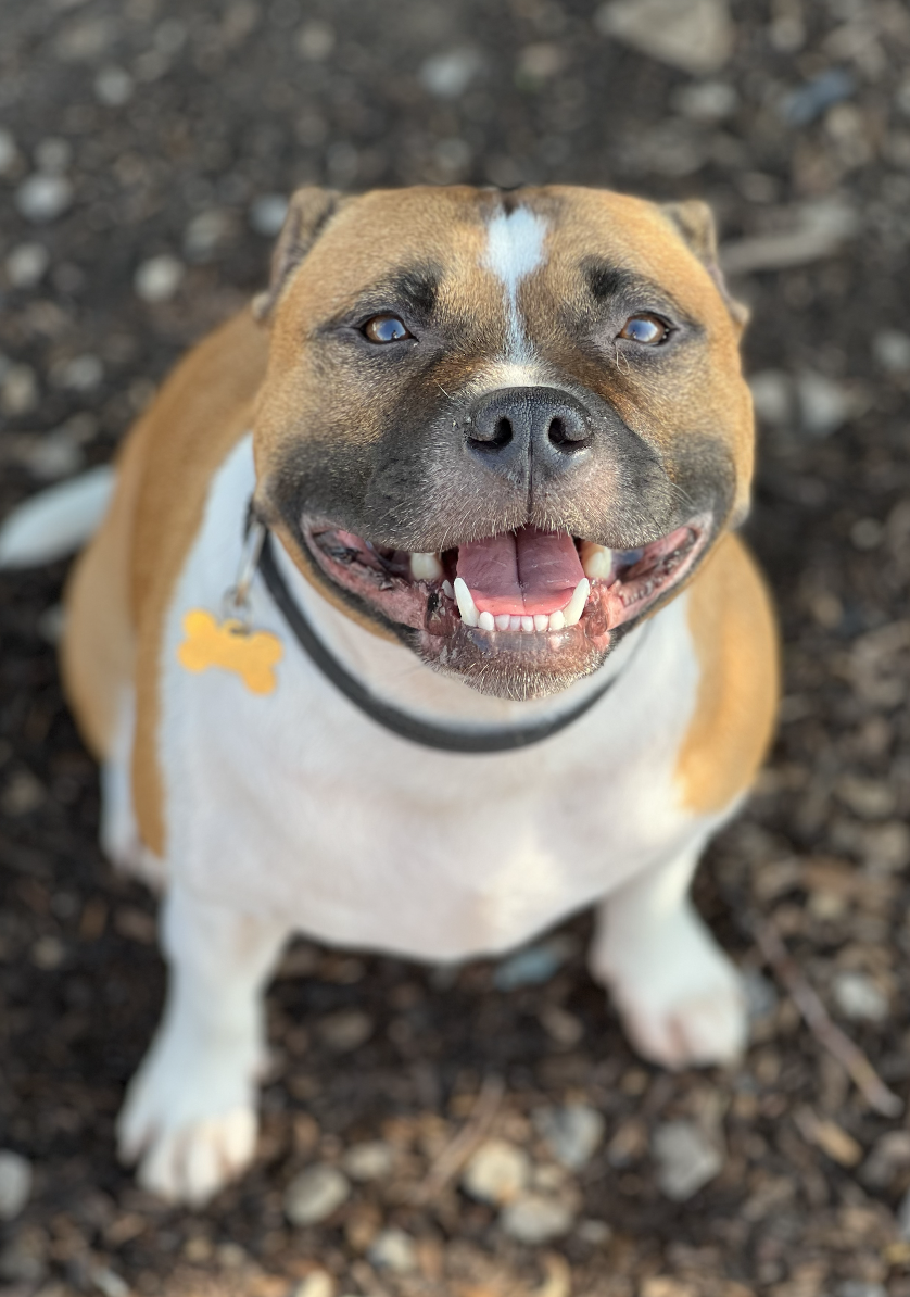 Screenshot 2025-12-03 at 2.28.39 PM.png