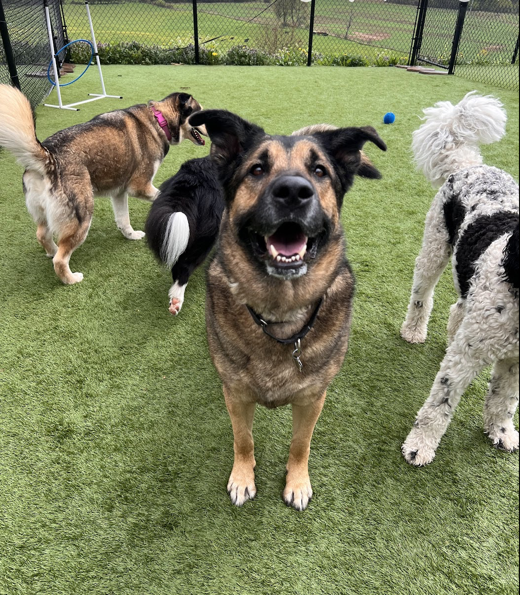 Screenshot 2025-12-03 at 2.44.57 PM.png