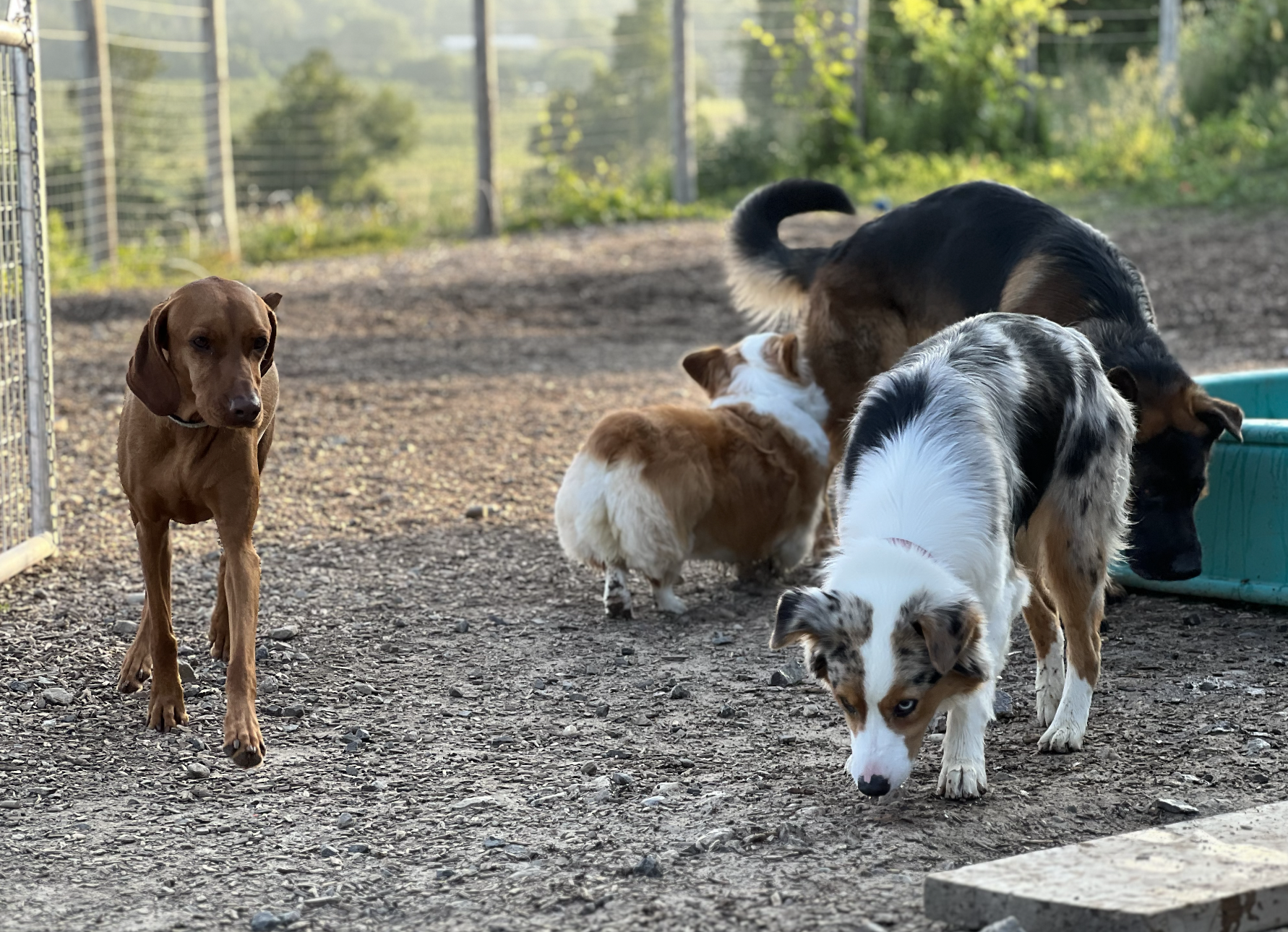 Screenshot 2025-12-03 at 2.28.21 PM.png