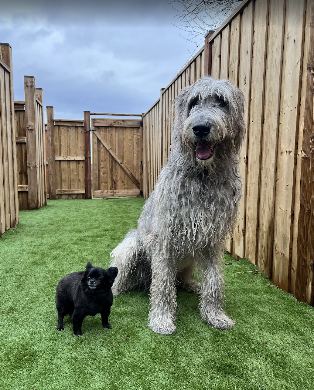 Screenshot 2025-12-03 at 7.11.40 PM.png