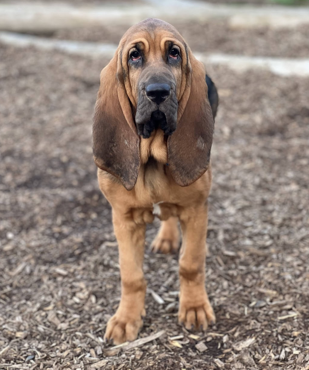 Screenshot 2025-12-03 at 2.43.56 PM.png