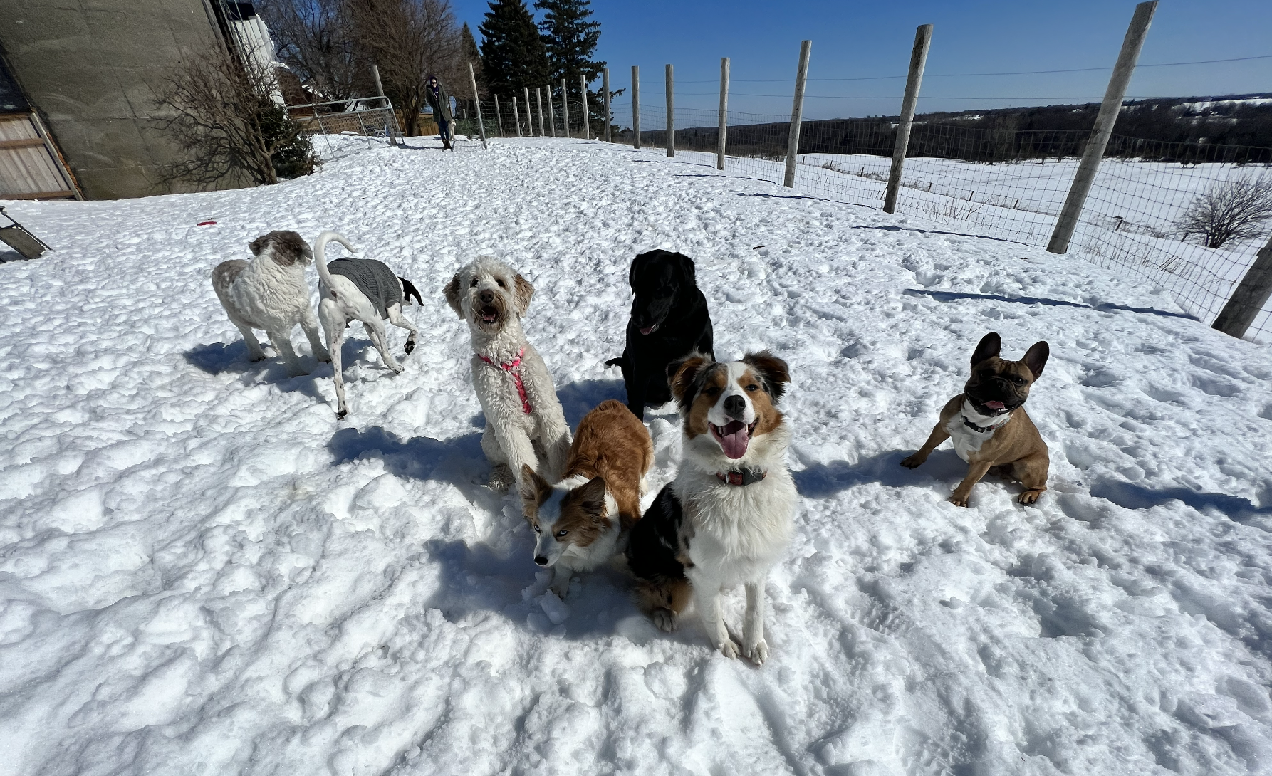 Screenshot 2025-12-03 at 2.32.48 PM.png