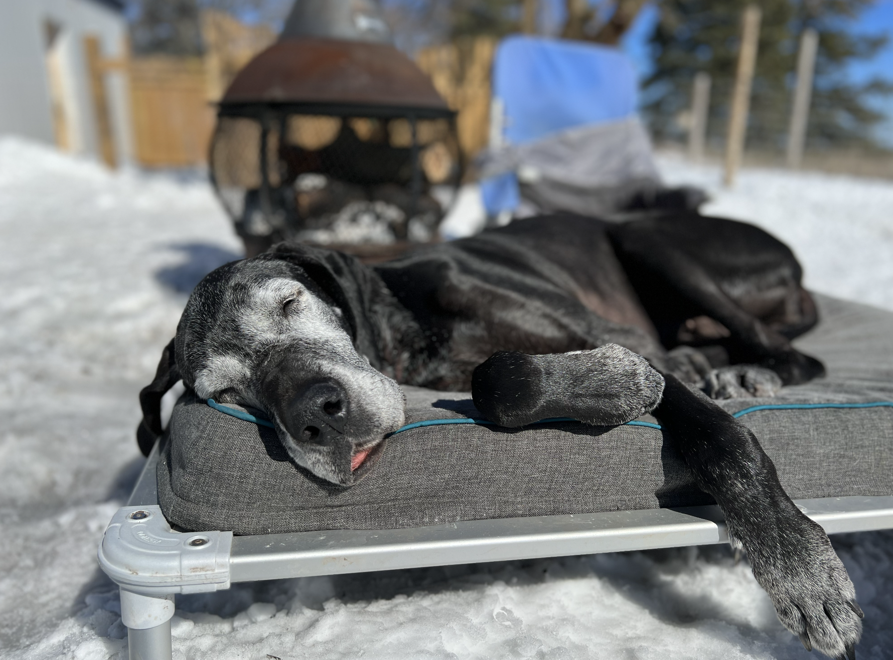 Screenshot 2025-12-03 at 2.33.12 PM.png