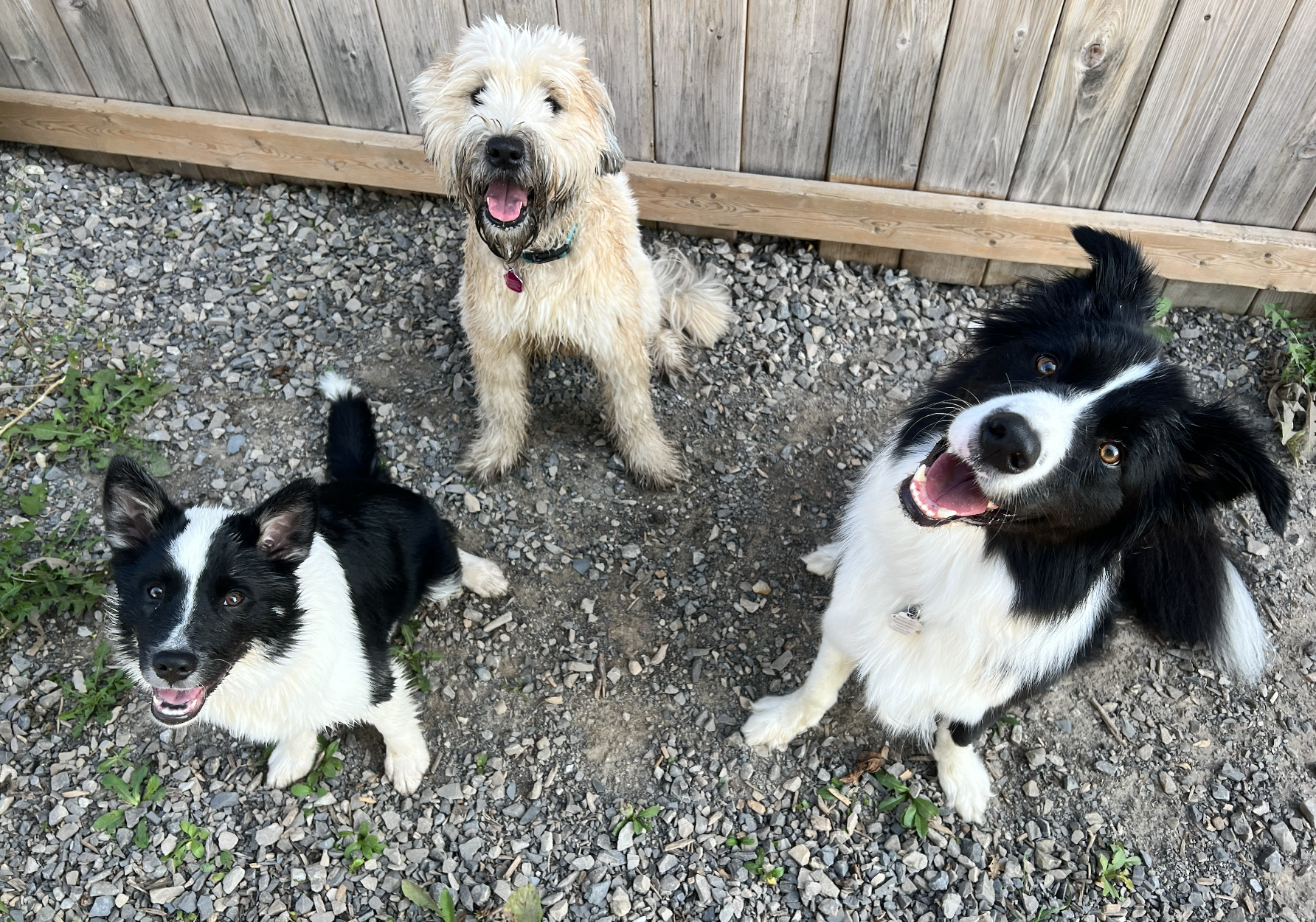 Screenshot 2025-12-03 at 2.31.56 PM.png