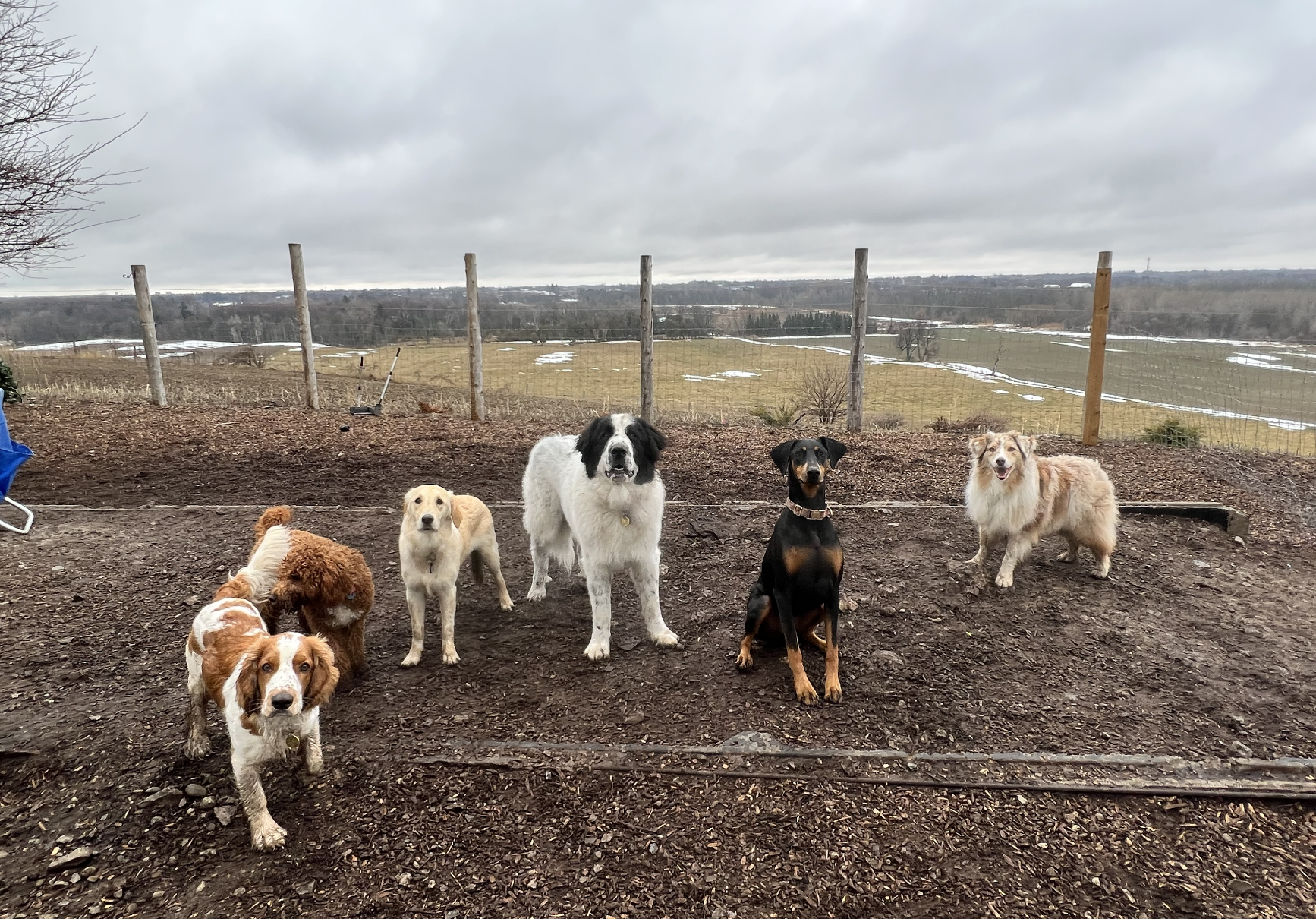 Screenshot 2025-12-03 at 2.33.21 PM.png