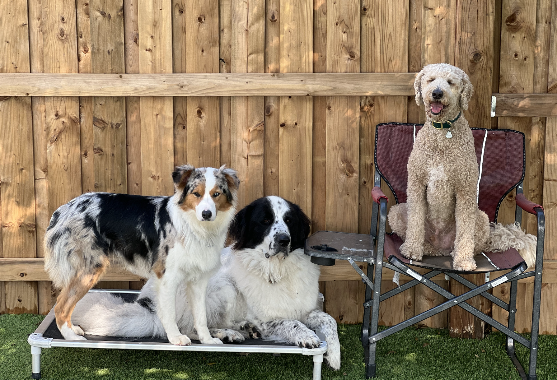 Screenshot 2025-12-03 at 2.30.59 PM.png