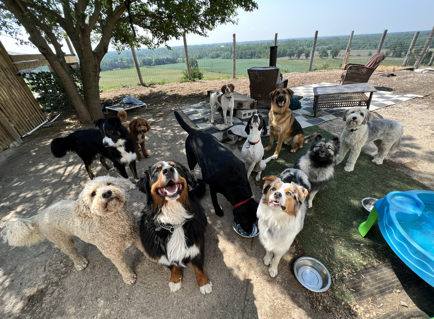 Screenshot 2025-12-03 at 2.27.26 PM.png