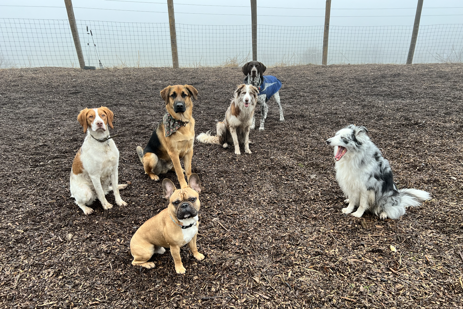 Screenshot 2025-12-03 at 2.29.37 PM.png