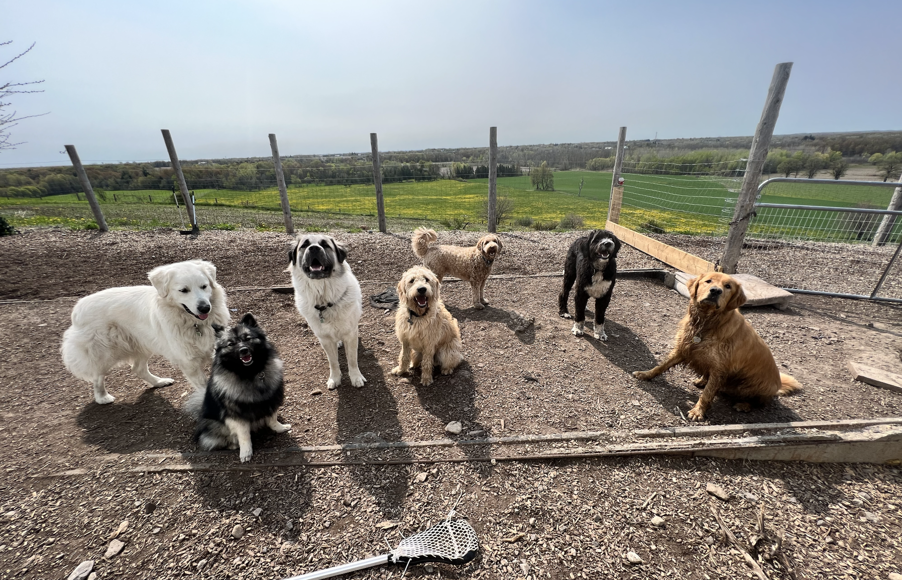 Screenshot 2025-12-03 at 2.34.05 PM.png