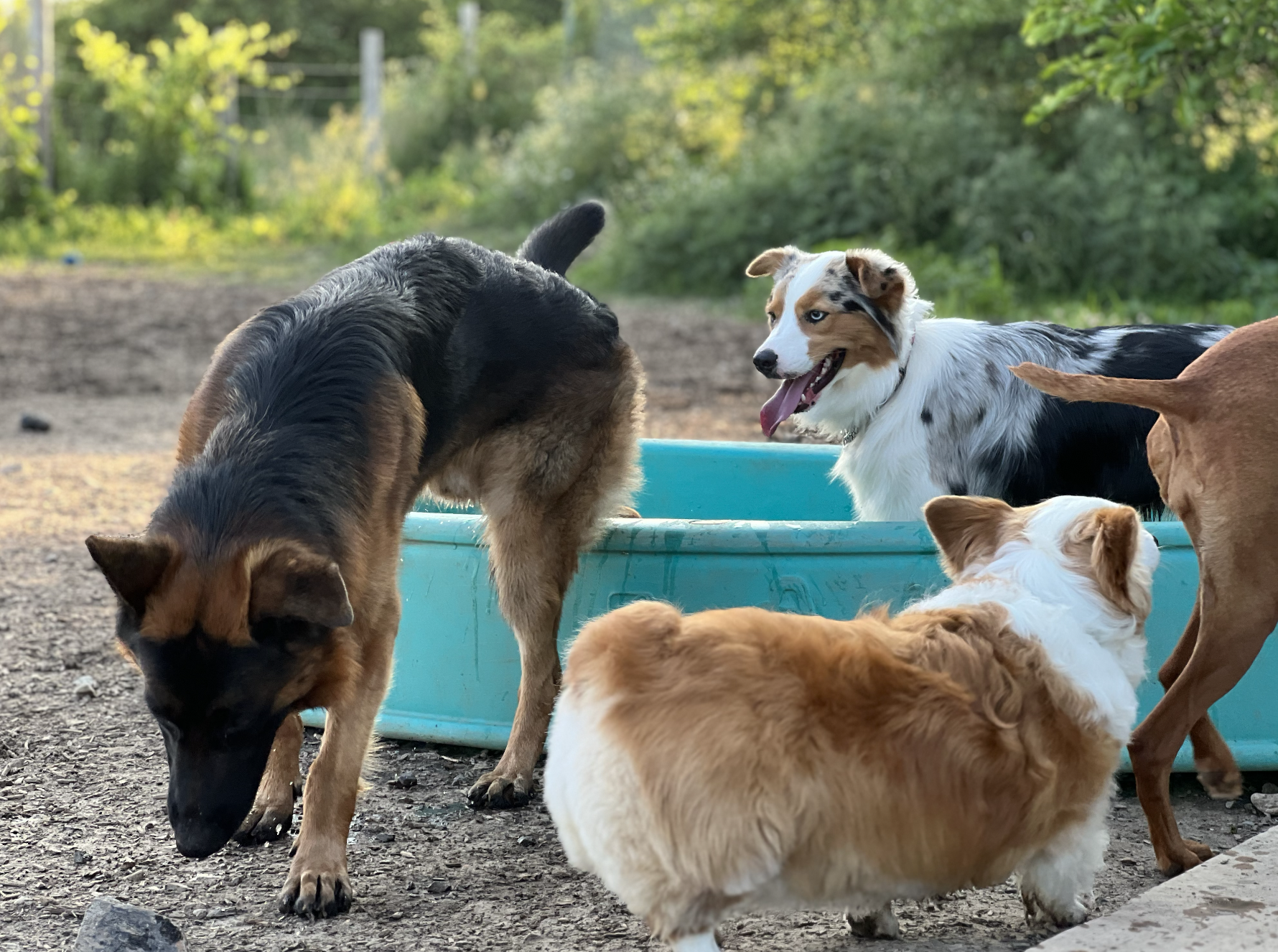 Screenshot 2025-12-03 at 2.28.11 PM.png