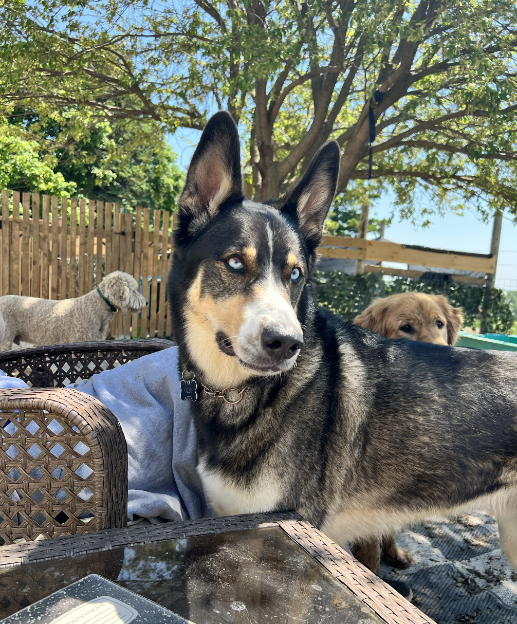 Screenshot 2025-12-03 at 2.34.54 PM.png