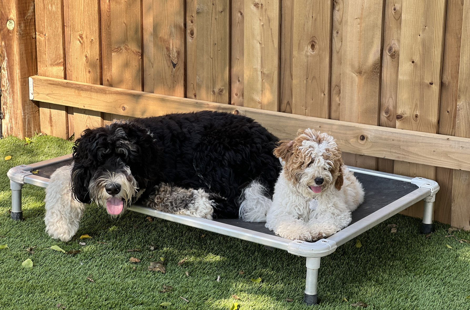 Screenshot 2025-12-03 at 2.30.23 PM.png