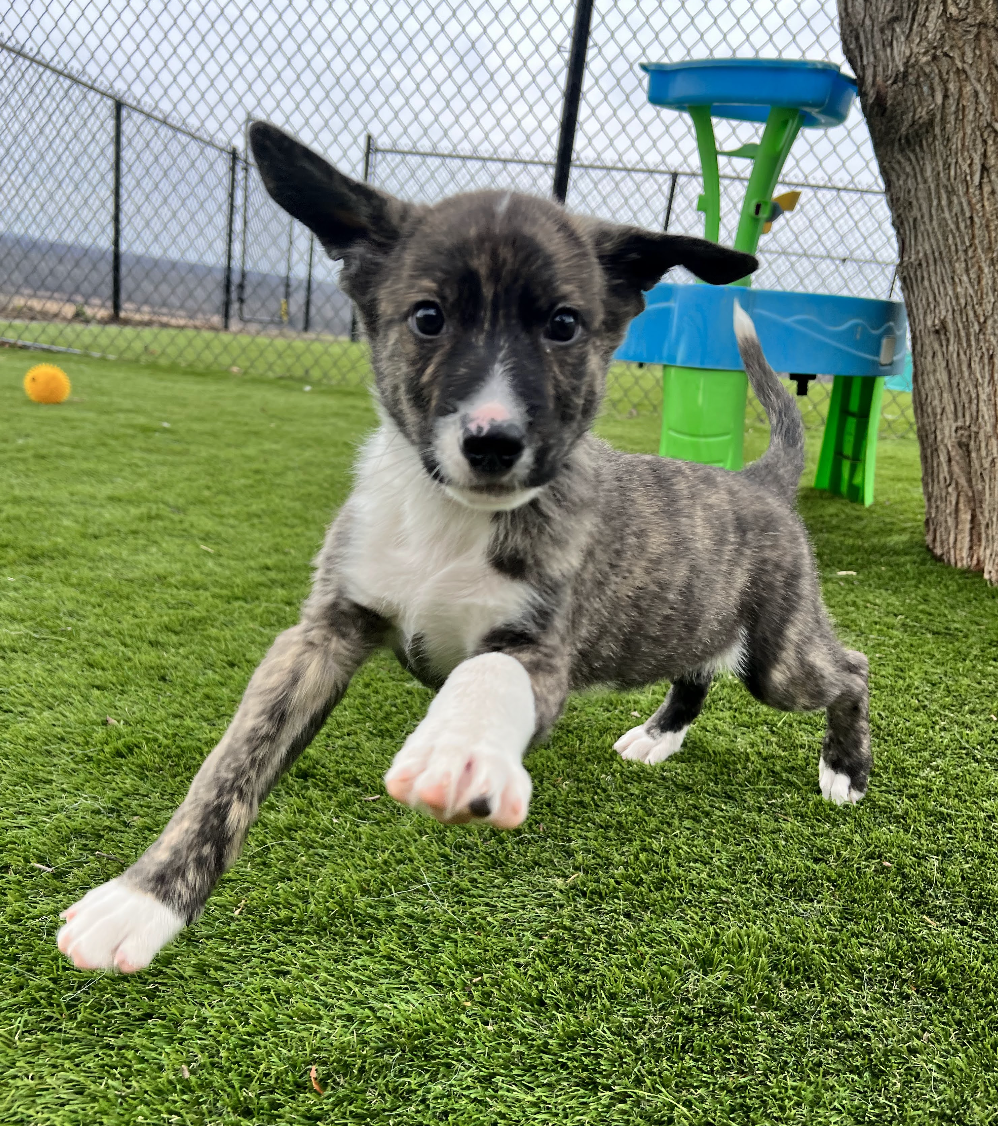 Screenshot 2025-12-03 at 2.34.45 PM.png