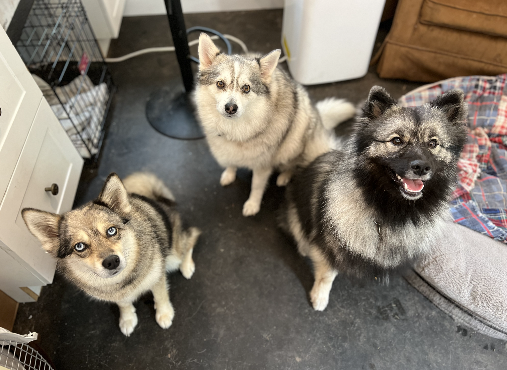 Screenshot 2025-12-03 at 2.27.59 PM.png