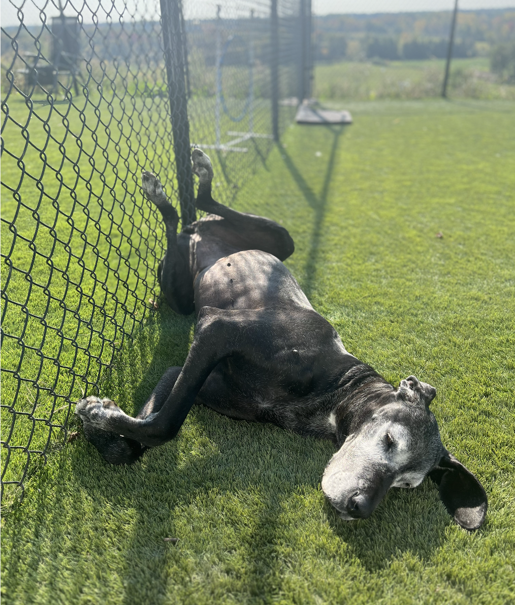 Screenshot 2025-12-03 at 2.31.22 PM.png