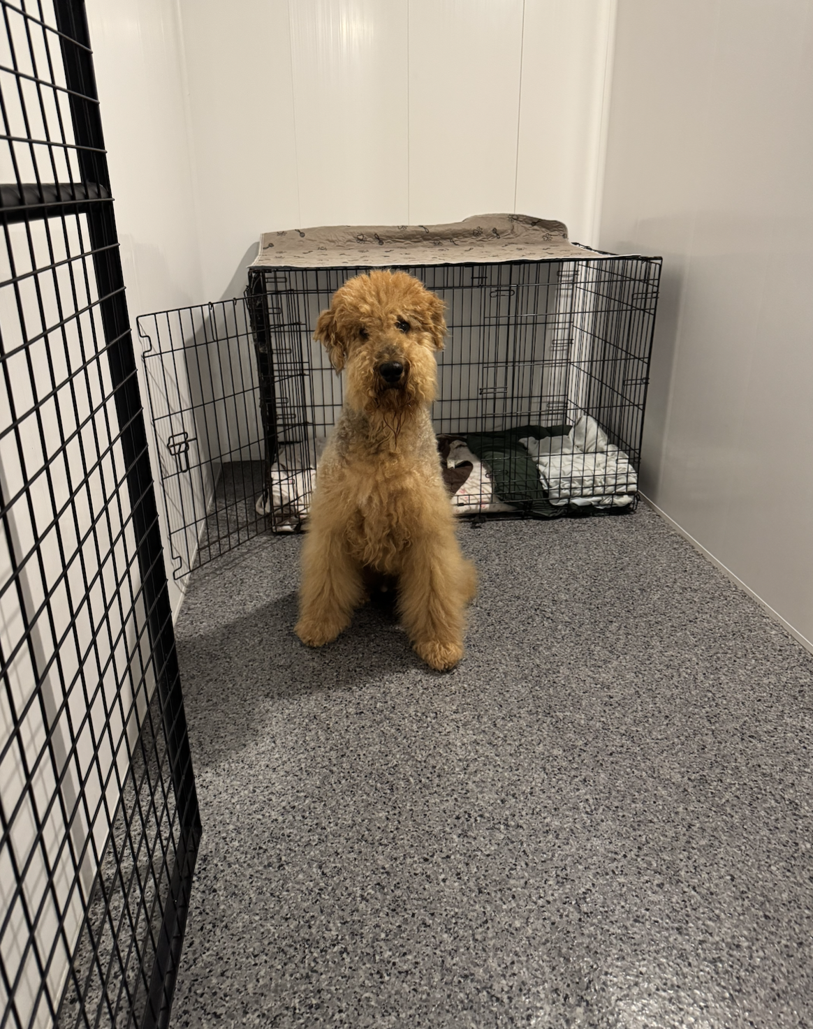 Screenshot 2025-10-27 at 4.24.15 PM.png