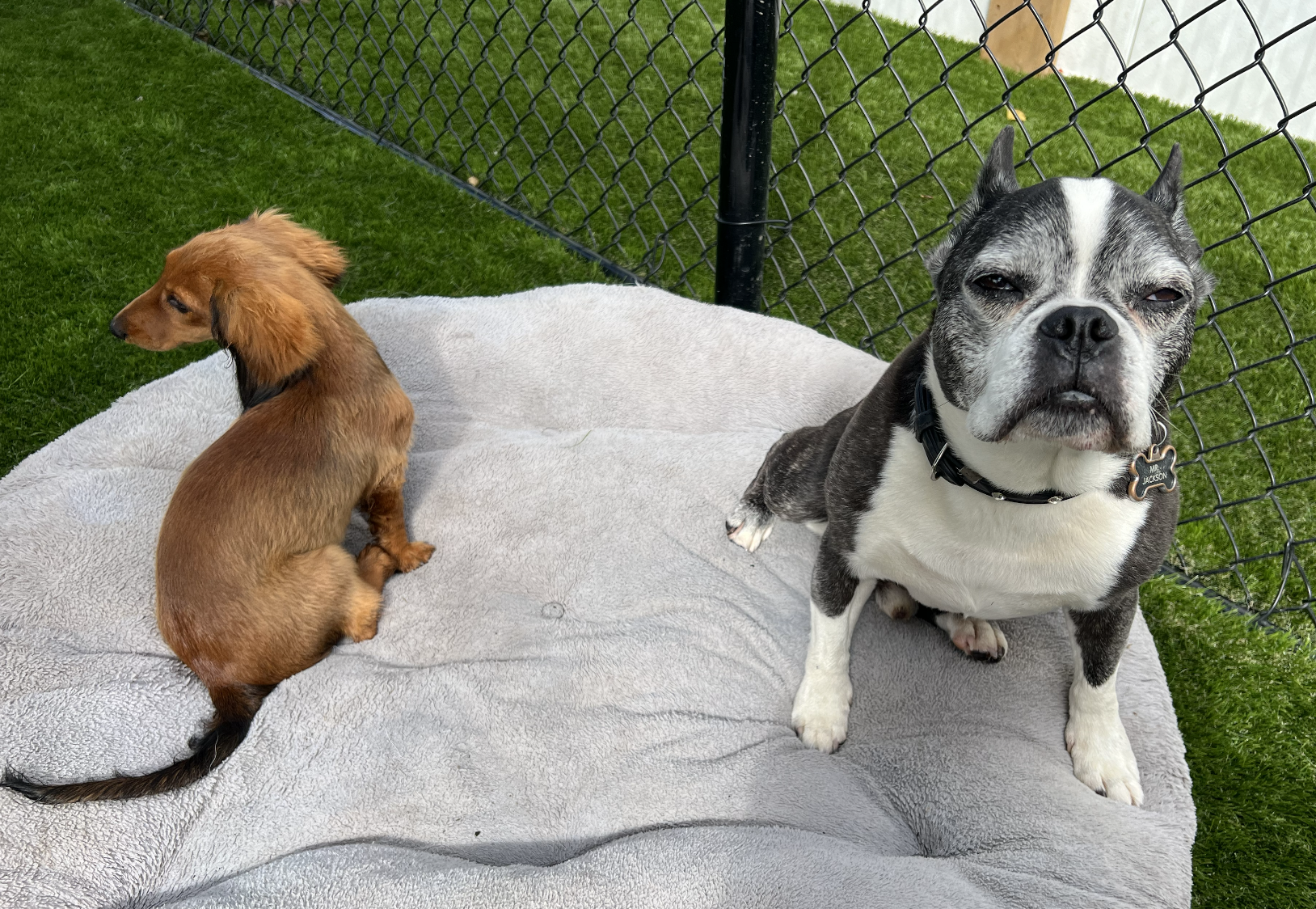 Screenshot 2025-12-03 at 2.30.04 PM.png