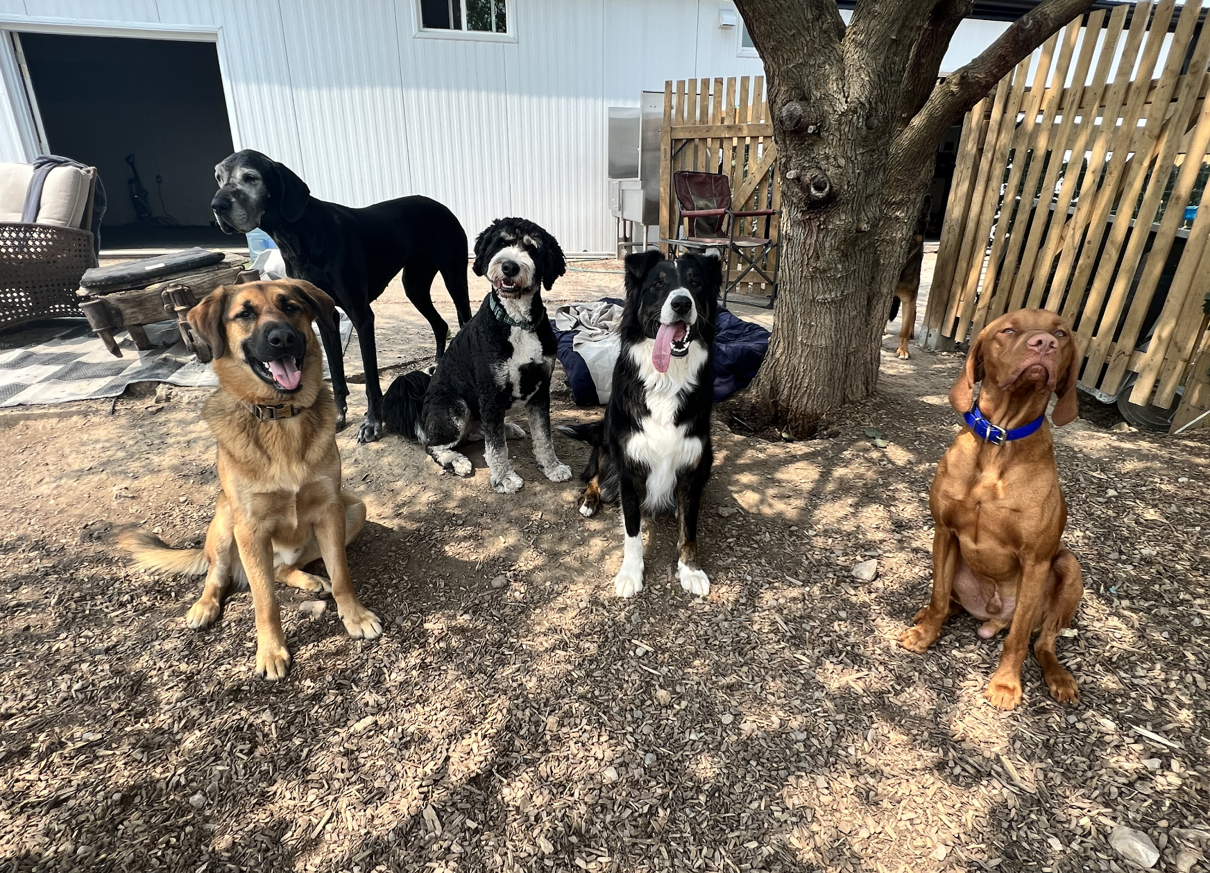 Screenshot 2025-12-03 at 2.34.33 PM.png