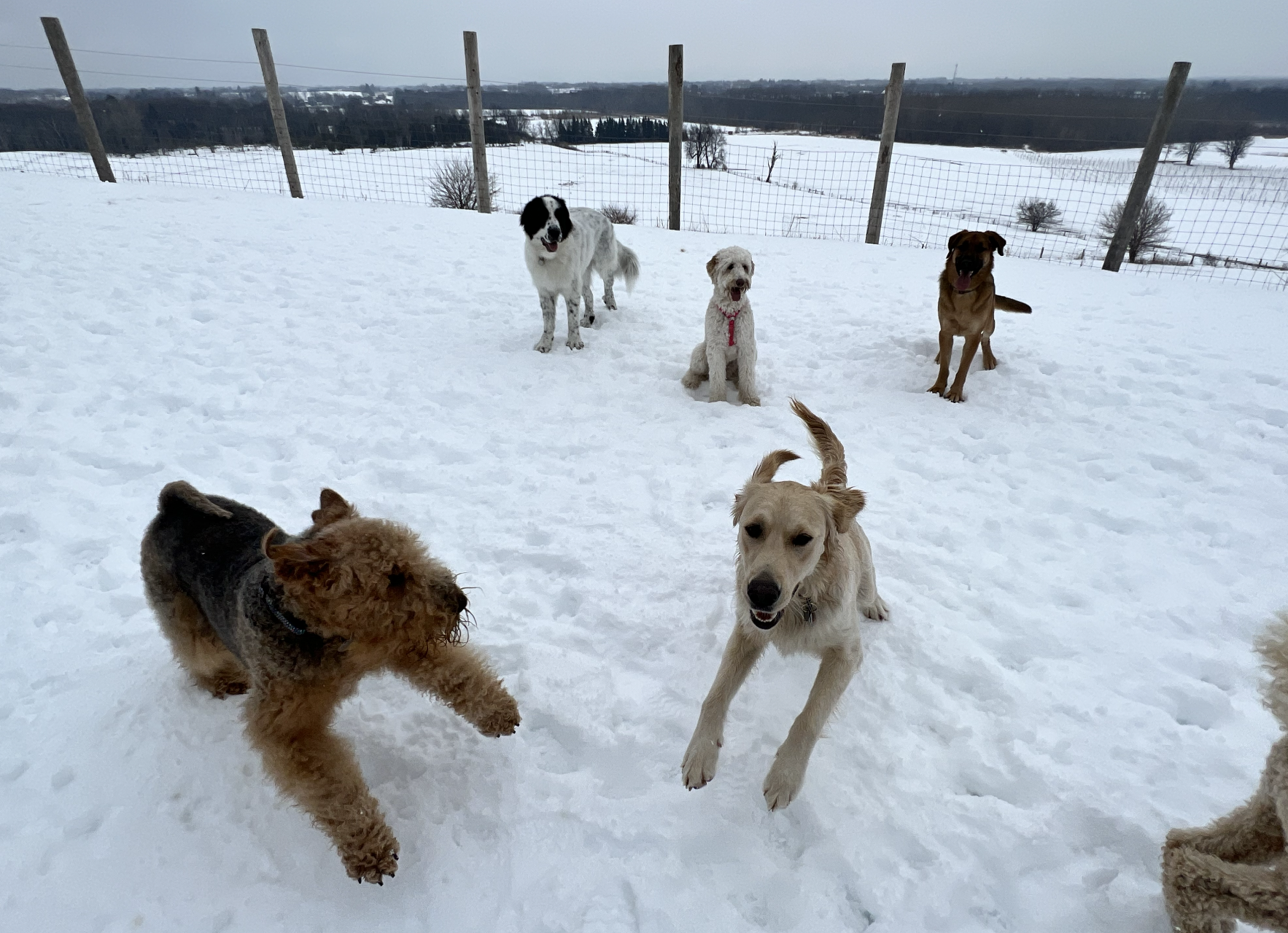 Screenshot 2025-12-03 at 2.32.28 PM.png