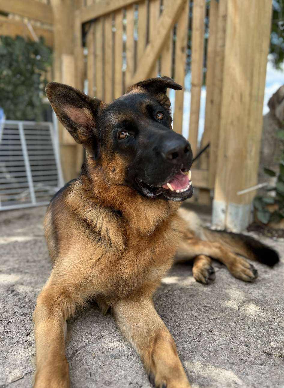 Screenshot 2025-12-03 at 2.27.50 PM.png