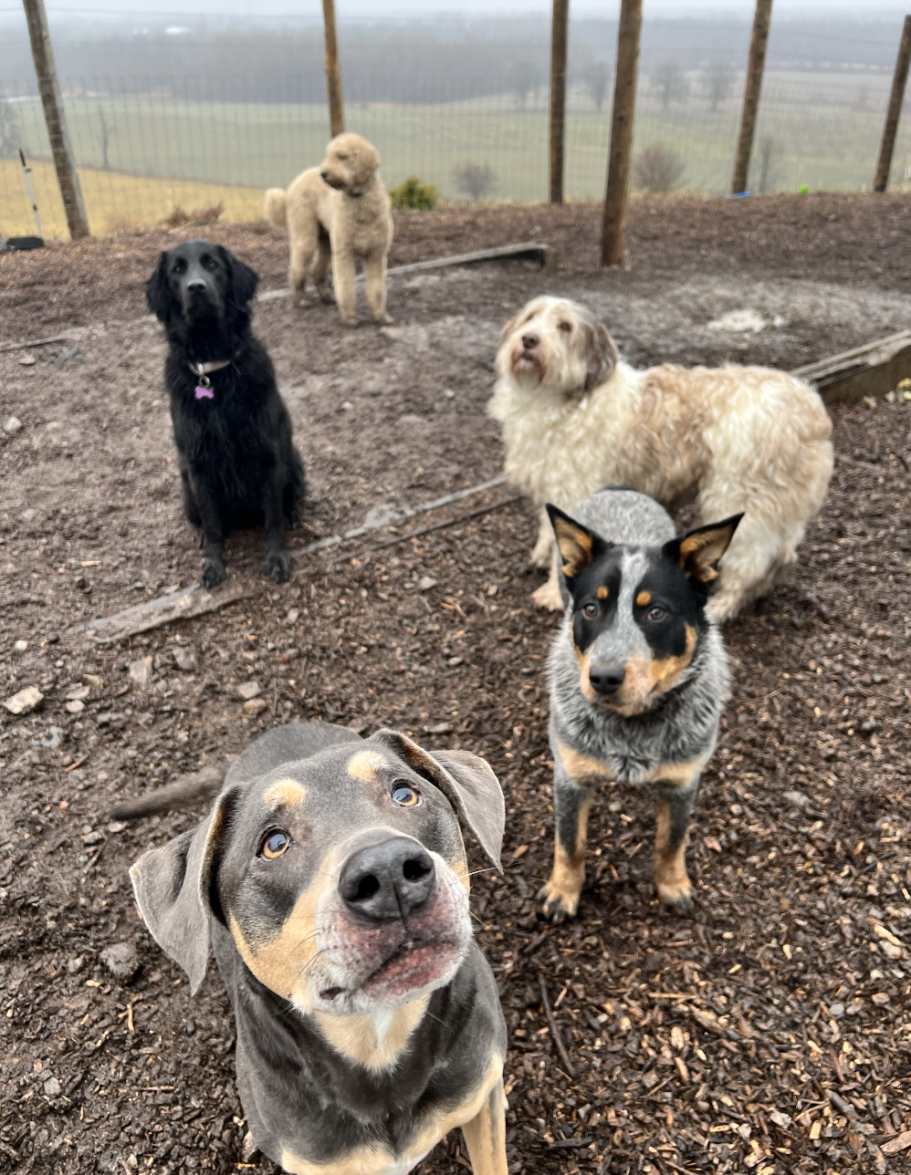 Screenshot 2025-12-03 at 2.30.43 PM.png