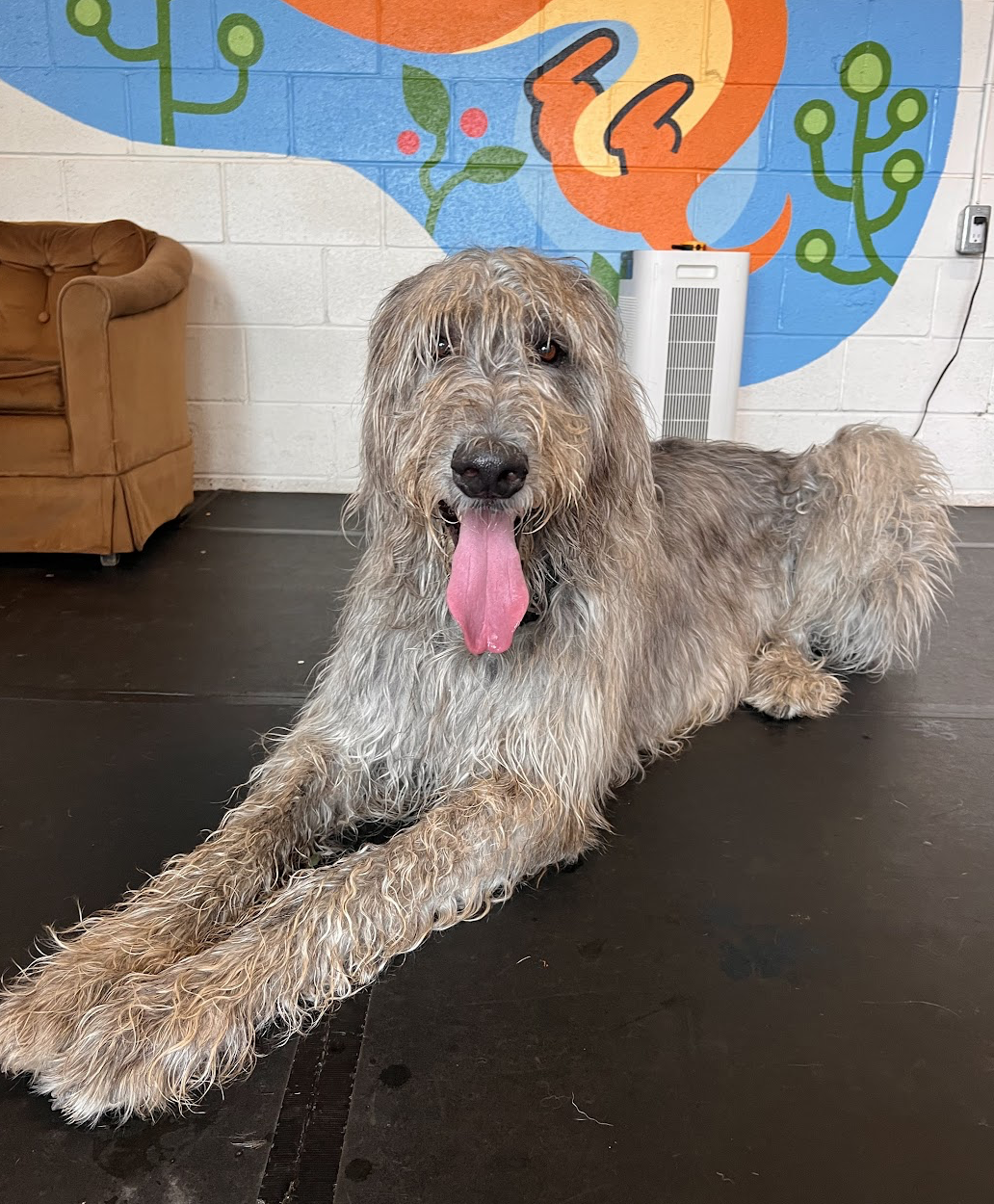 Screenshot 2025-12-03 at 2.42.13 PM.png