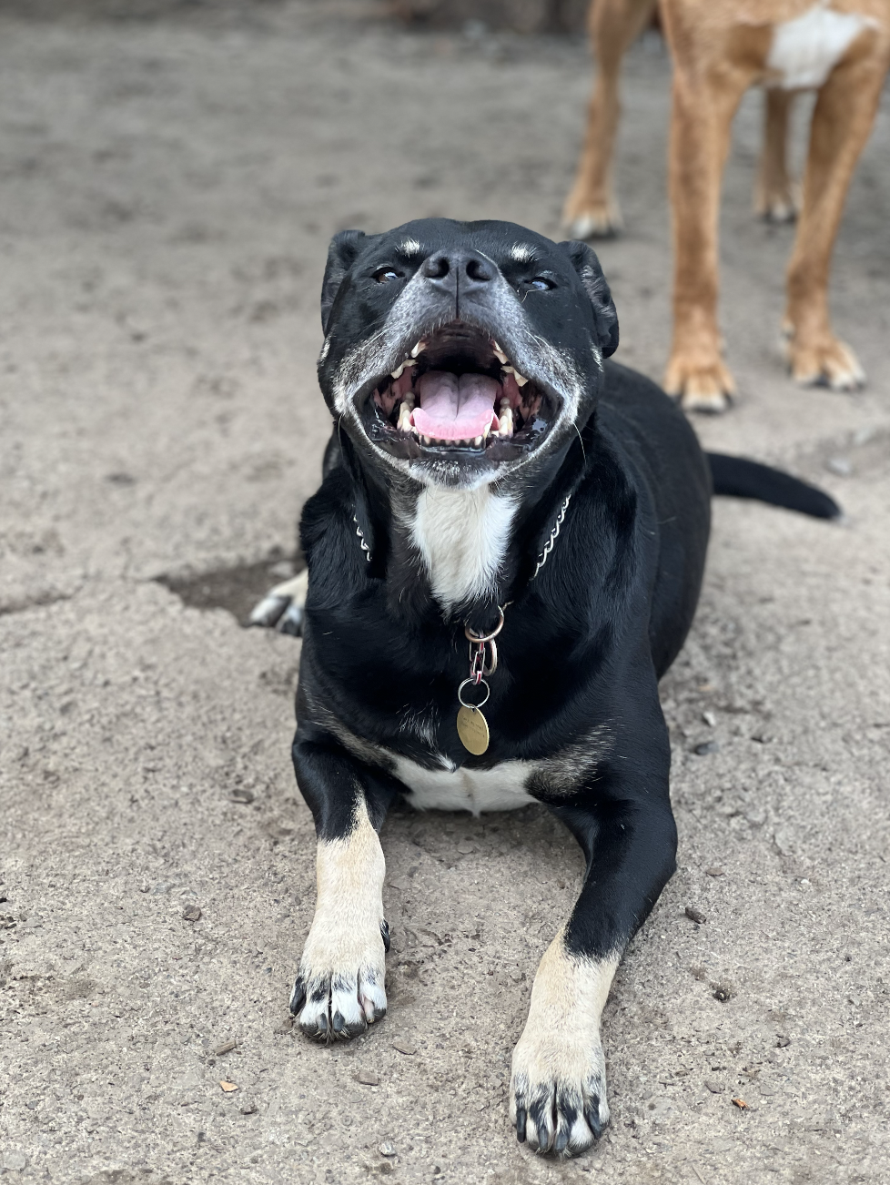 Screenshot 2025-12-03 at 2.28.49 PM.png