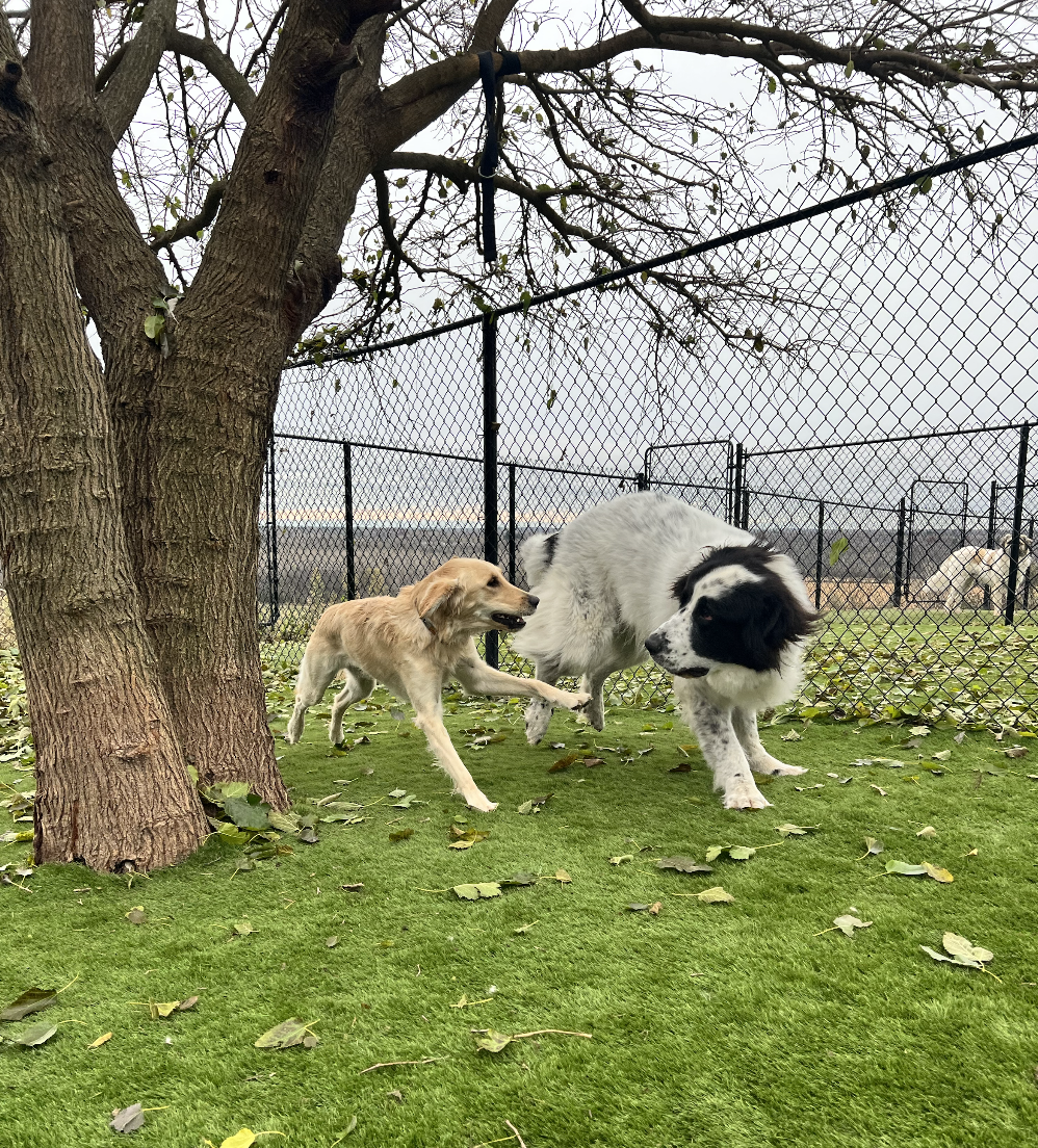 Screenshot 2025-12-03 at 2.33.32 PM.png