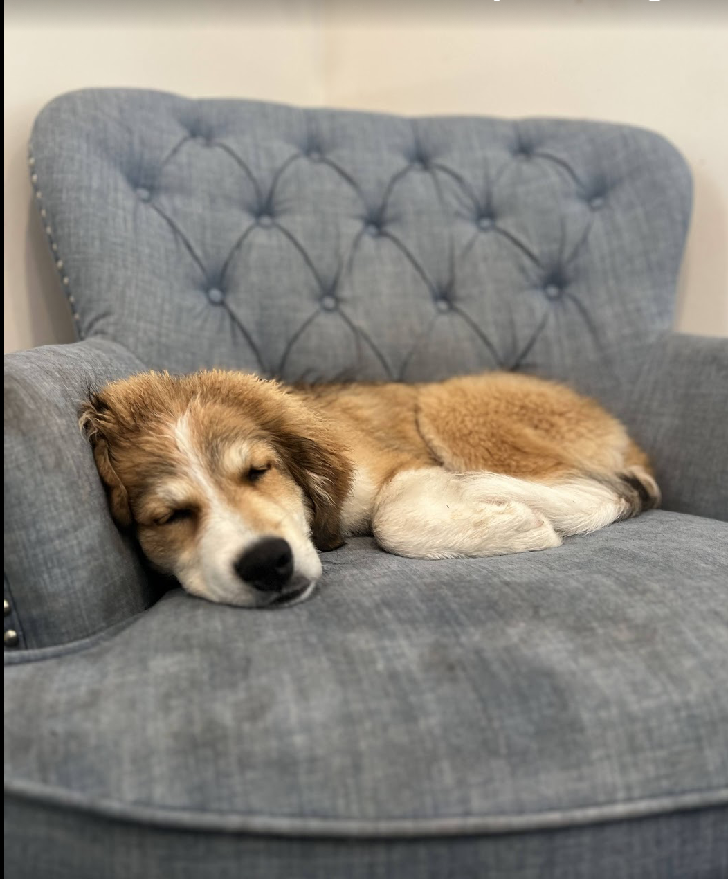 Screenshot 2025-12-03 at 2.42.00 PM.png