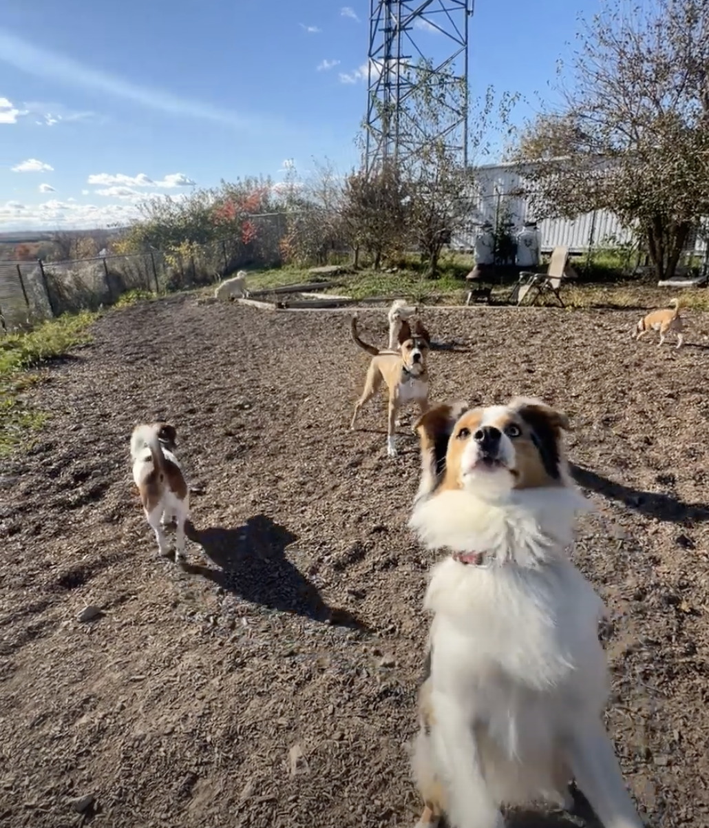 Screenshot 2025-12-03 at 2.48.56 PM.png