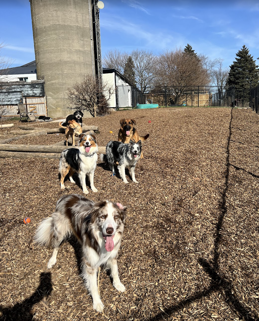 Screenshot 2025-12-03 at 2.39.06 PM.png