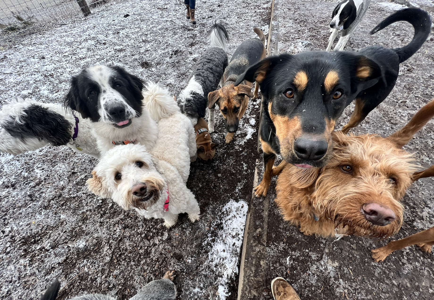 Screenshot 2025-12-03 at 2.31.40 PM.png