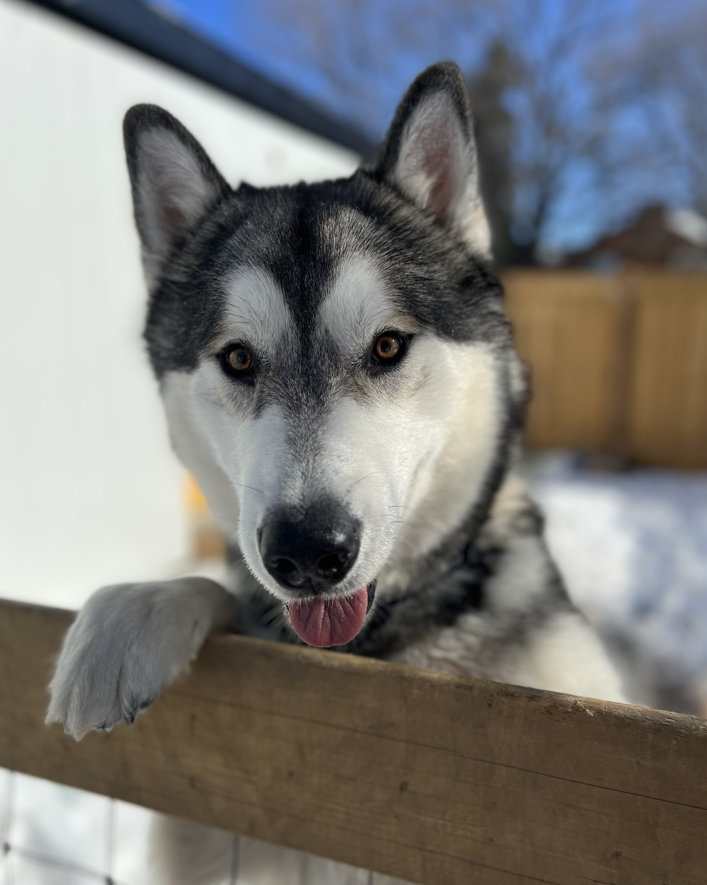 Screenshot 2025-12-03 at 2.32.37 PM.png