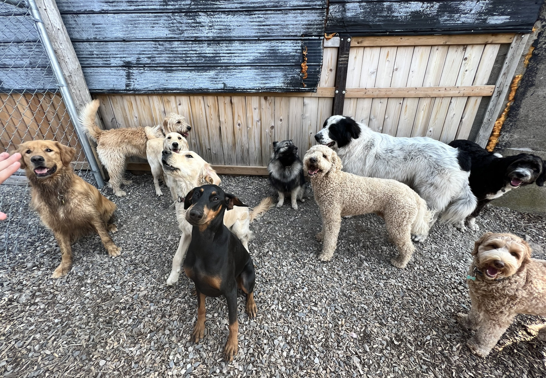 Screenshot 2025-12-03 at 2.34.15 PM.png