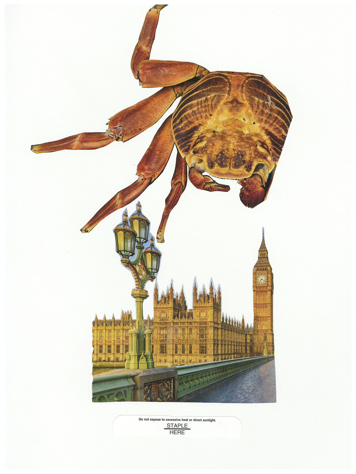 london-crab-artwork 9x12.jpg