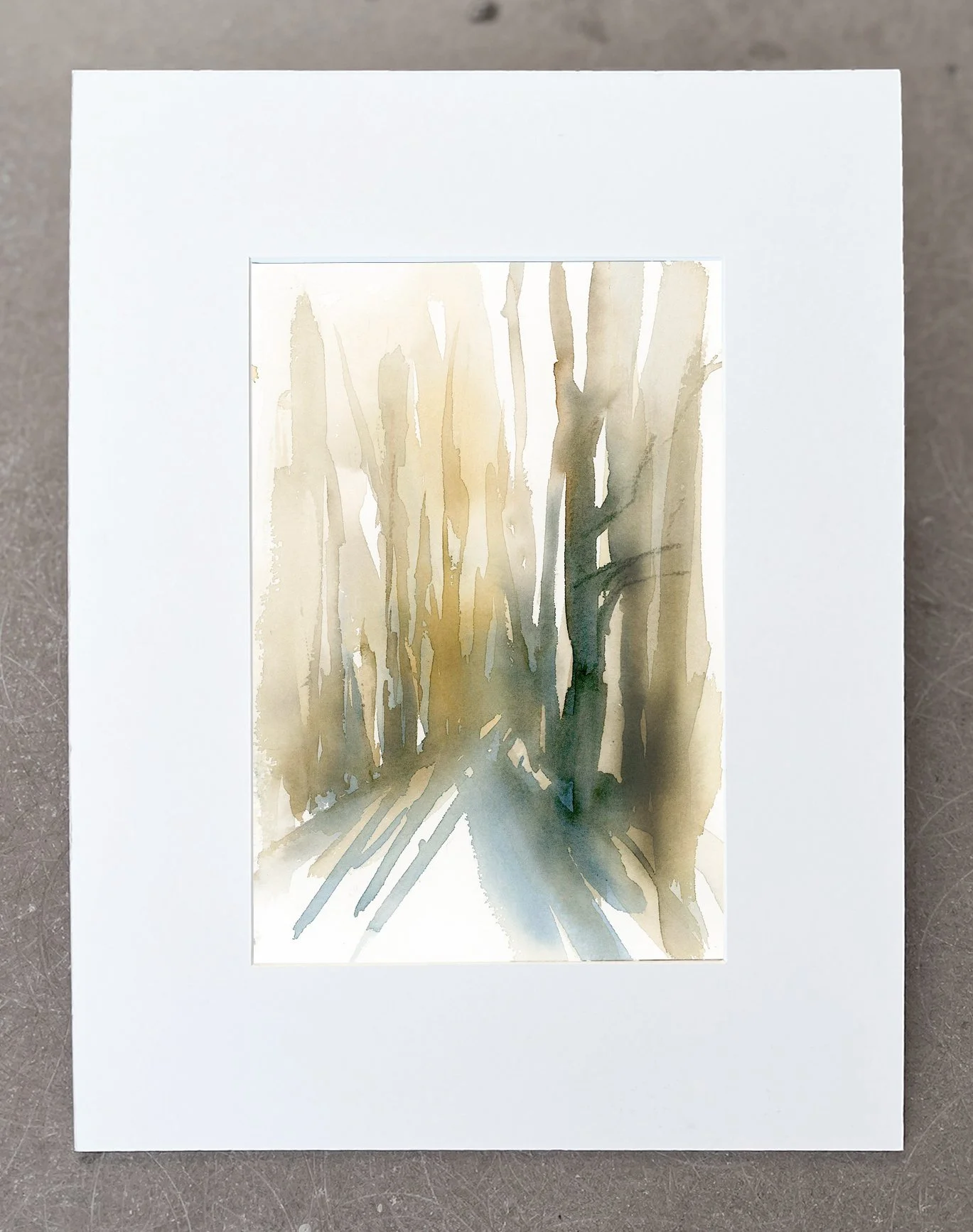 Forest light 1