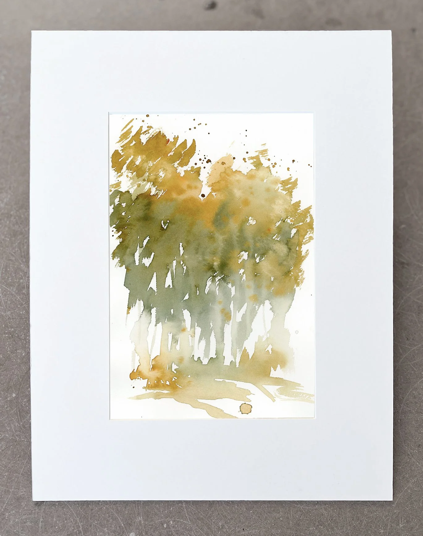Forest light 2
