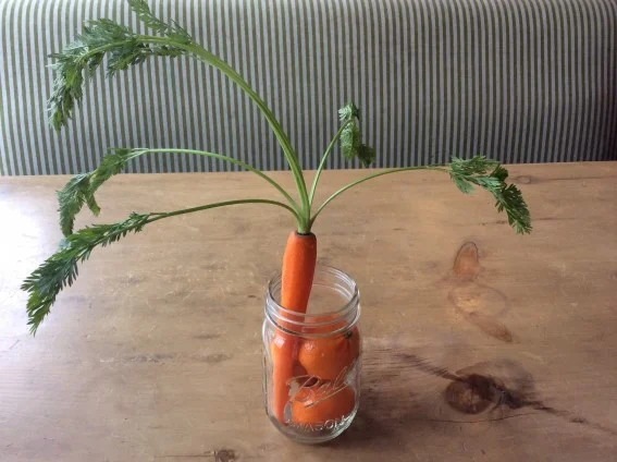 Carrot Breakfast Smoothie