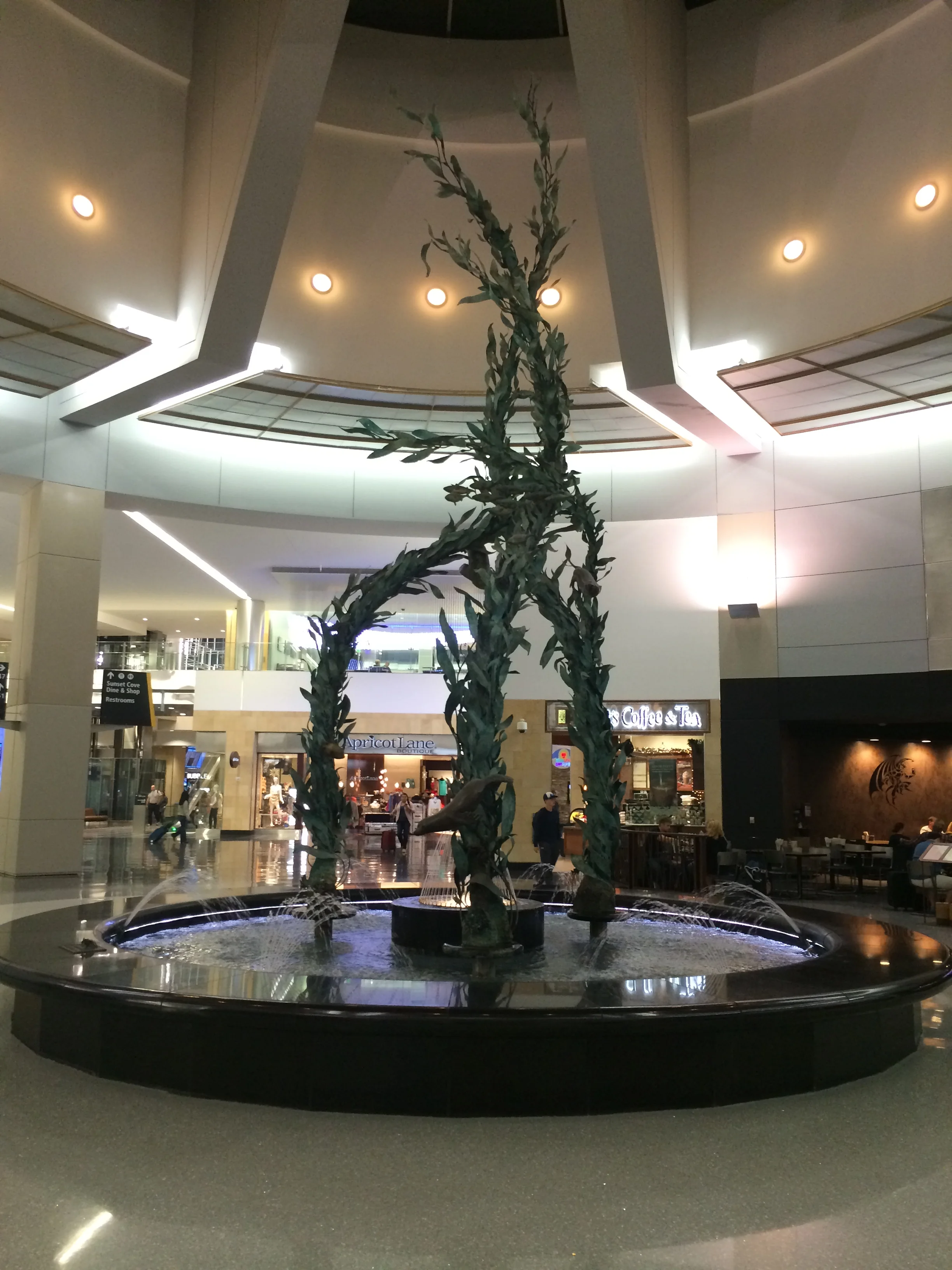 ranch-coast-water-feature-1.jpg