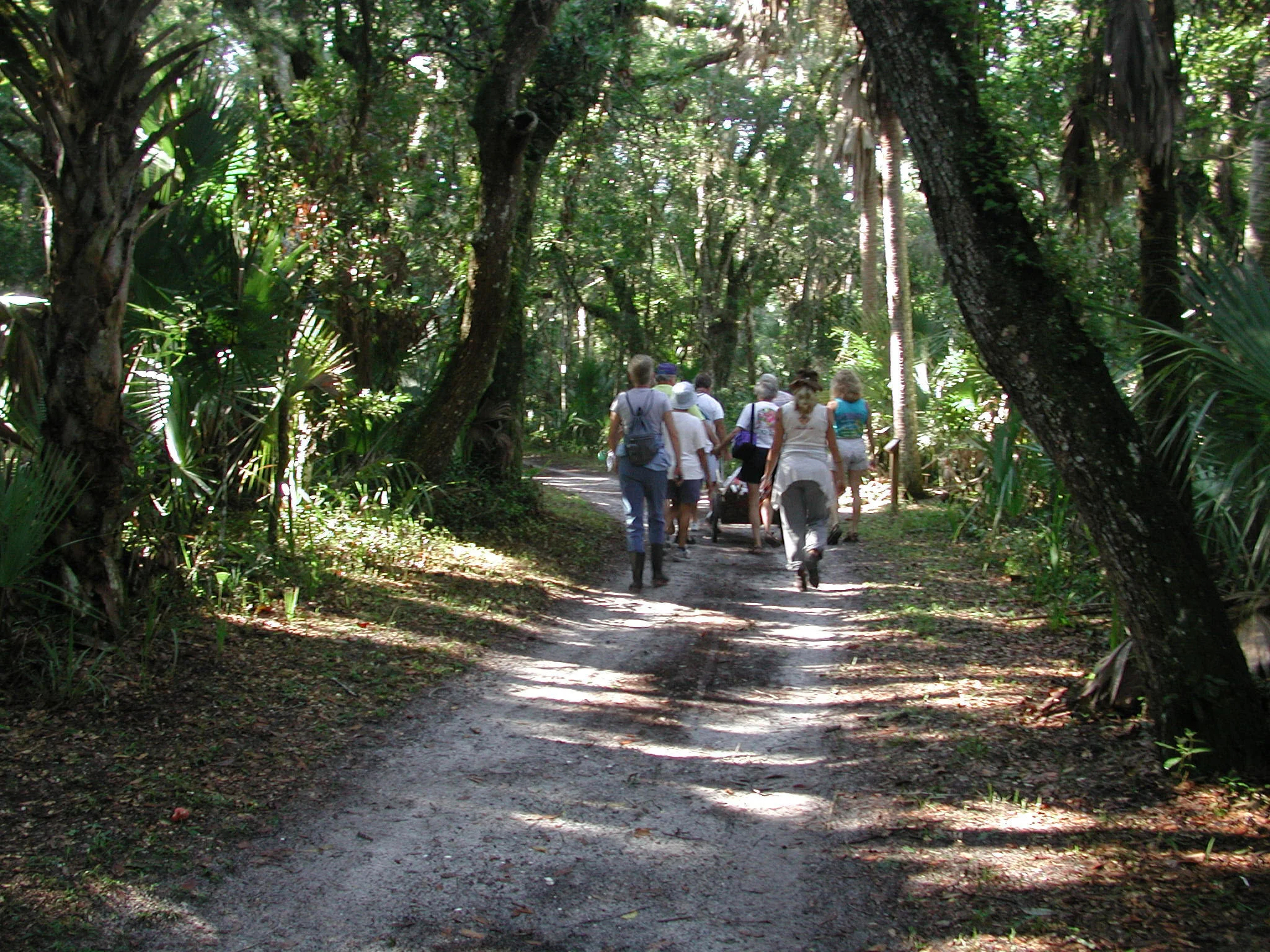 GTM Research Reserve - Local Activities Attraction - Nature Conservation - Family Fun - St. Augustine