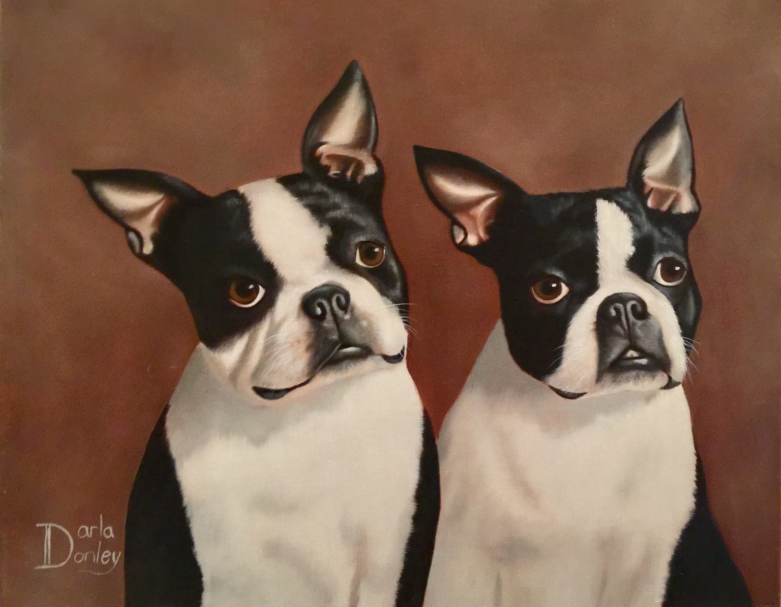 Local Pet Portraiture