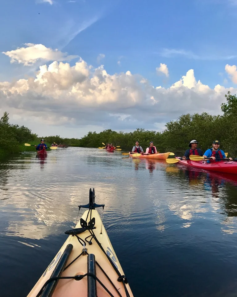 Ripple Effect Ecotours.jpg
