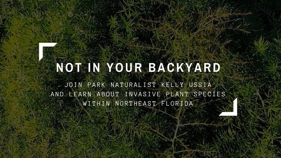 Parks and Rec - Invasive Plant Species Talk.jpg