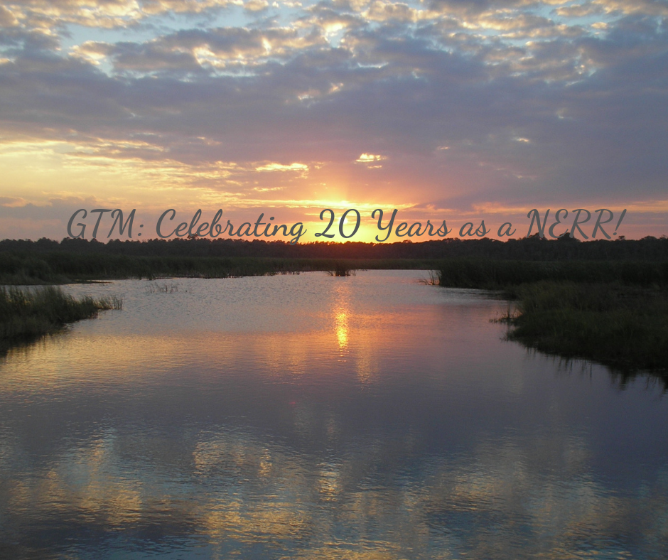 GTM - 20 year celebration.png
