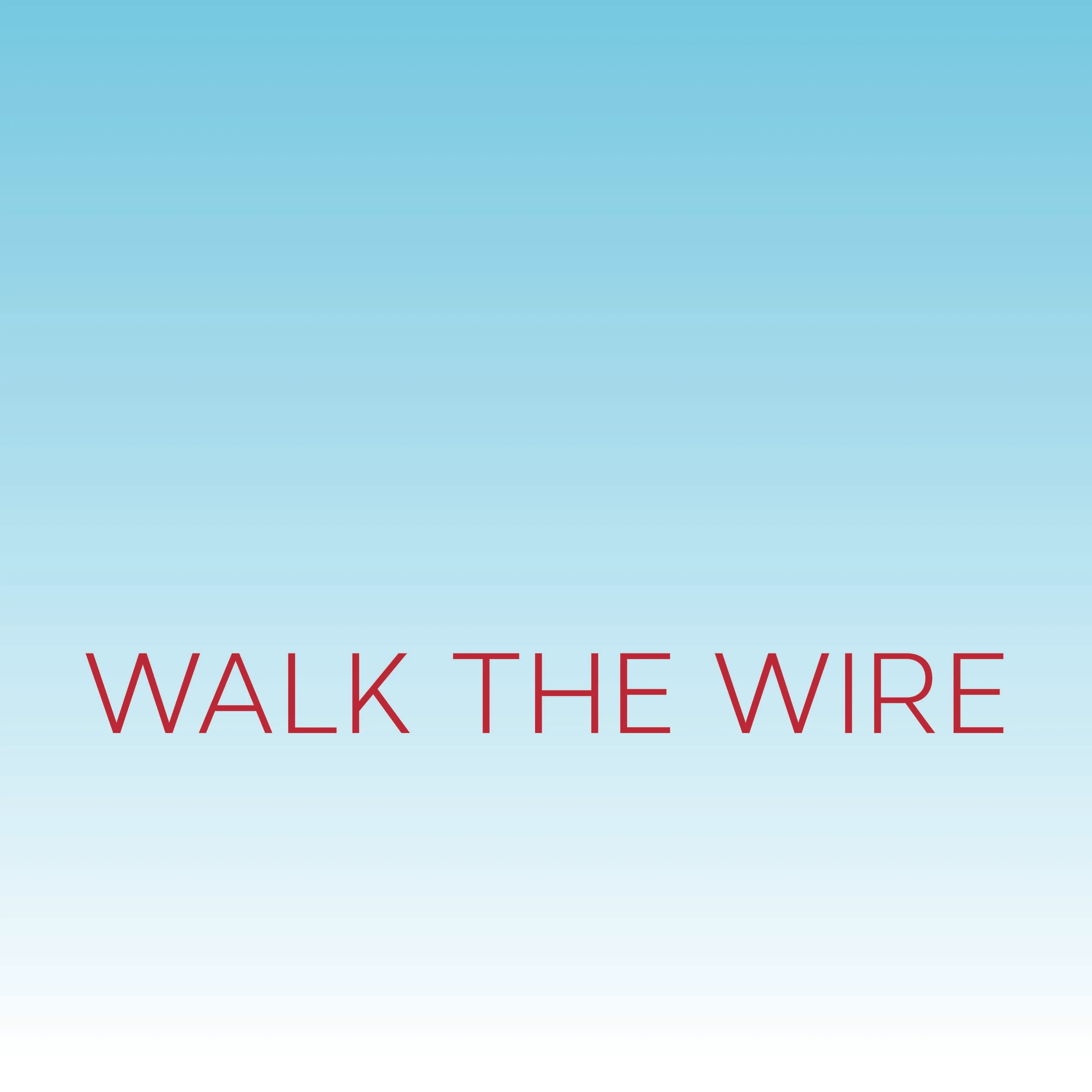 Walk the Wire-01.jpg