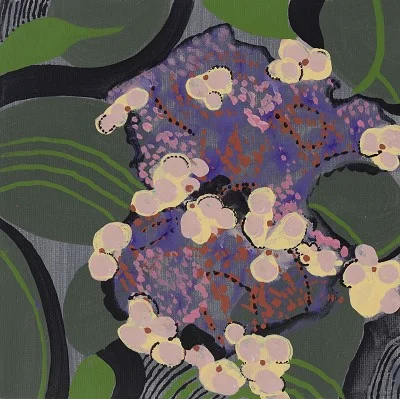 Hydrangea aspera 'Villosa Group', acrylic on canvas, 20 x 20 cm, 2012